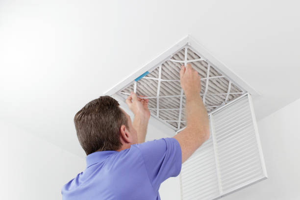 Best Home Air Vent Cleaning  in Amity, OR